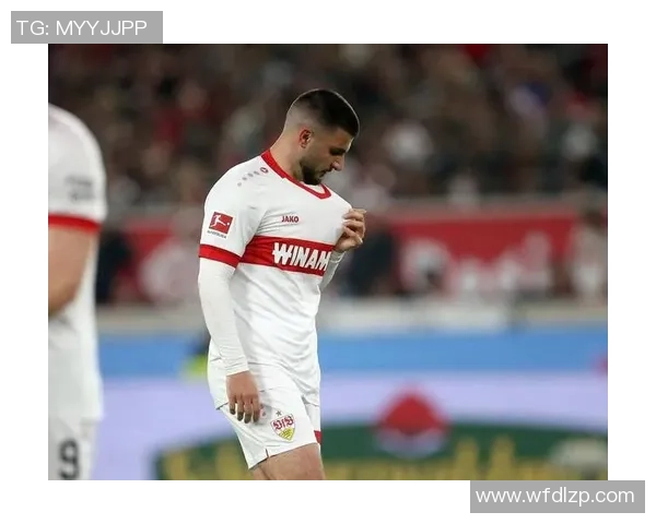 霍芬海姆与莫尔德历史交锋记录分析及战绩回顾