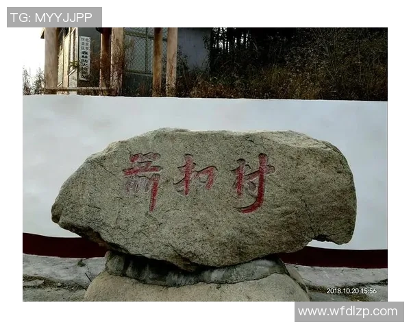 佐加顿斯与瓦尔贝里对决分析及赛前预测十二月六日赛事展望